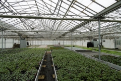 Nonsuch-Nurseries_0004